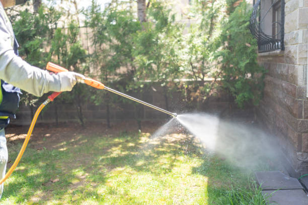 Best Pest Prevention Services  in Morongo Valley, CA